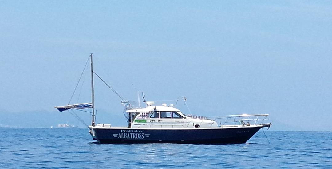 ALBATROSS